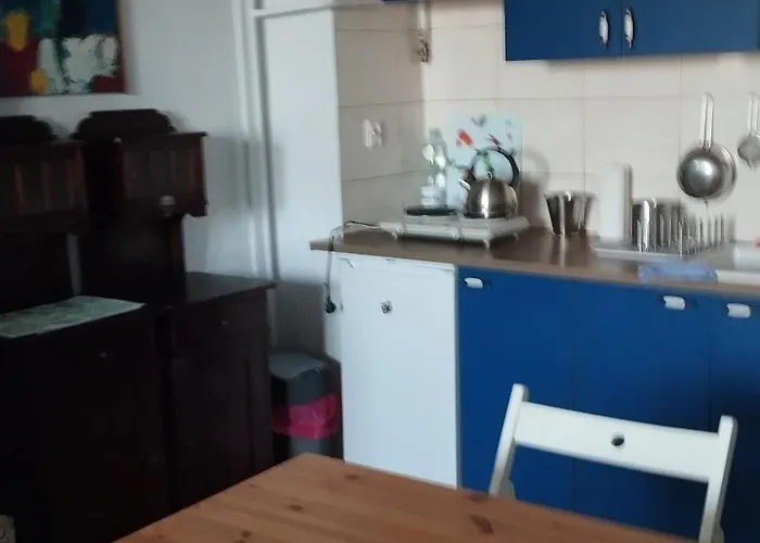 Tysiaclecie Park Apartman *